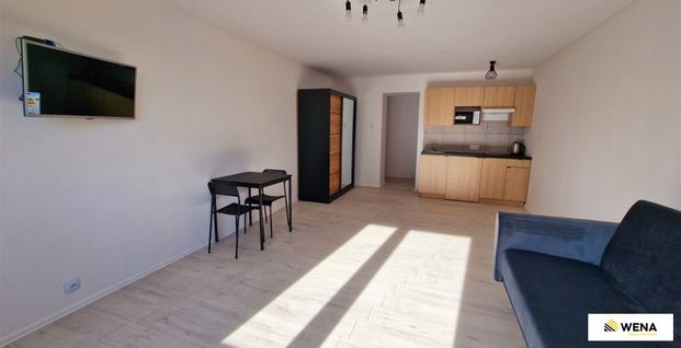 Siemianowice Śląskie, Centrum Mieszkanie na wynajem - Photo 1