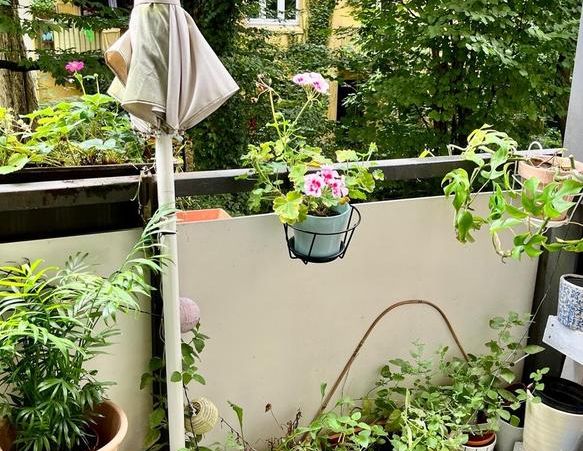 Wohnung Hamburg Ottensen | Zwischenmiete | 5.1.2026 - 28.2.2026 - Foto 1