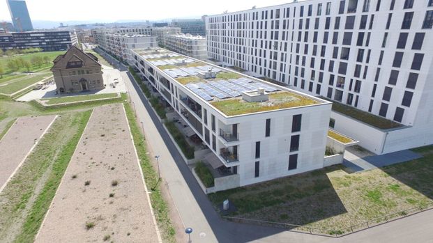 2.5-room, 49 m2, 5th floor, CHF 1,545.- - Foto 1