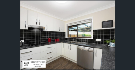 FAMILY LIVING IN SOUTH MUDGEE - Photo 5