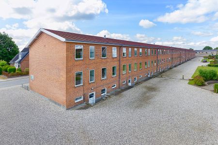 Afd. 1 Birkevang - Foto 3