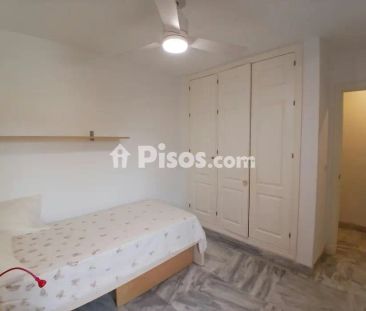 Piso en alquiler en Centro Histórico - Foto 6