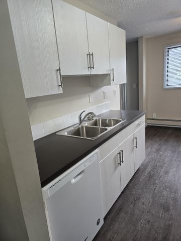 Beautifully renovated two bedroom unit in Waskasoo - Photo 4