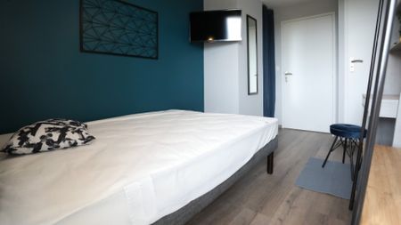 URSS Roommate 4 Bedrooms at Toulouse - Photo 4