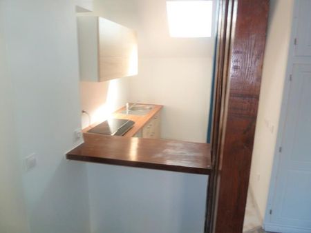 Location Appartement 1 pièce 28m² TRIEL SUR SEINE 78510 - Photo 2