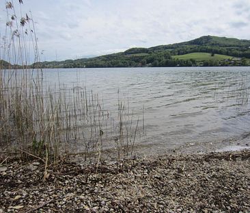 Neuwertige 2-Zimmer-Wohnung mit traumhaftem Seeblick & Seezugang in... - Photo 5