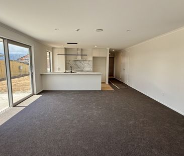 34 Lotus Street, Appleby, Tasman - Photo 6