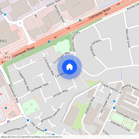 Camellia Close, Romford, RM3