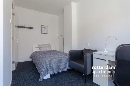 Lepelaarsingel, Rotterdam - Foto 2