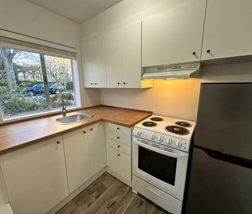 (DPMonline.ca) The Pinecone Building in Fairview! Lovely Studio! - Photo 1