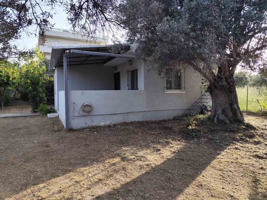 Μονοκατοικία για ενοικίαση Άγιοι Απόστολοι (Κάλαμος) - Photo 1