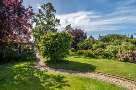 4 Bedroom House - Bentley, Farnham - Photo 2