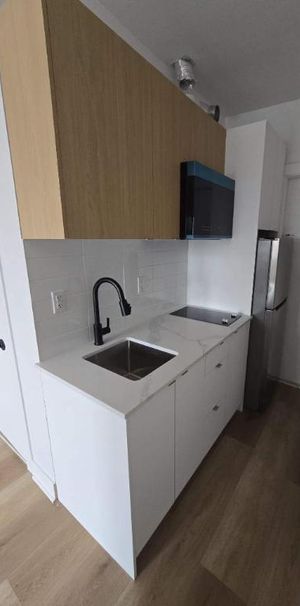1 CH - 1 SDB - Montréal - $1,190 /mo - Photo 1