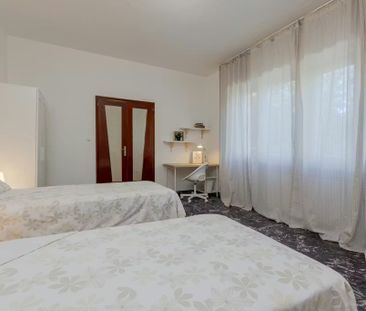 Via Antonio da Noli, Padova, Veneto 35136 - Photo 4