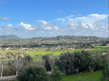 4 room luxury Apartment for rent in Selva, Balearic Islands - Photo 4