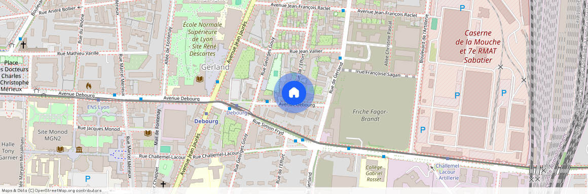 29 RUE DE L EFFORT, 7EME, Lyon