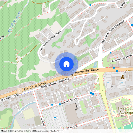 1950, Sitten, Rue De Lausanne, 114