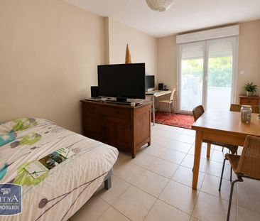 Location Appartement 1 pièce 28m² BEAUPREAU EN MAUGES 49600 - Photo 1