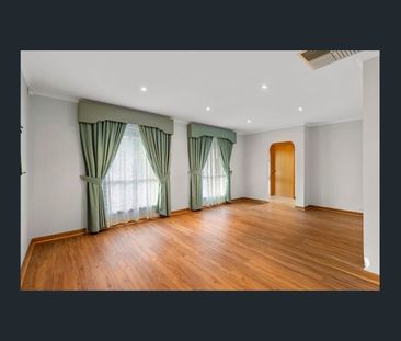 Family Entertainer - Photo 5