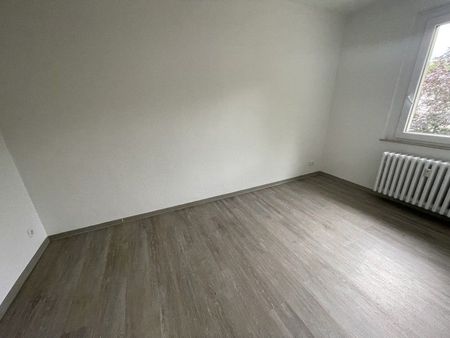 Da kommt man gern Heim. 2,5-Zimmer-Wohnung - Foto 4