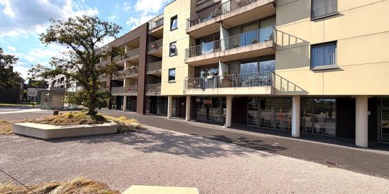 Appartement te huur in Aalter voor € 790 met 1 slaapkamer - foto 3