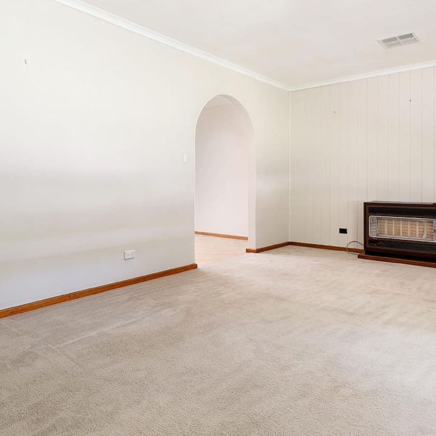 3/8 Ronald Terrace, - Photo 1