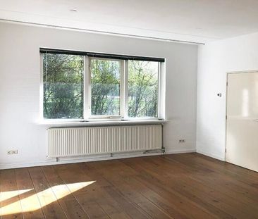 Burgemeester Krollaan - Foto 4