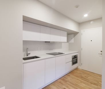 3455 Rue Aylmer - Photo 4