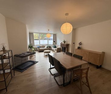 Rozenberg 91 bus 1, 2400 MOL - Photo 6