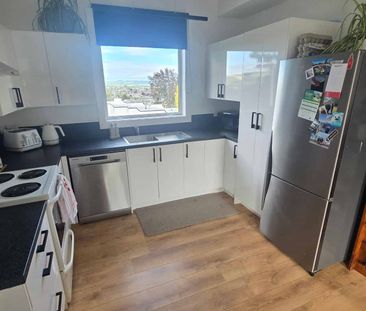 Extensively Renovated Four Bedroom Home - Photo 3