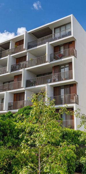 BB307/6-18 University Road, Miranda NSW 2228 - Apartment For Rent | Domain - Photo 1