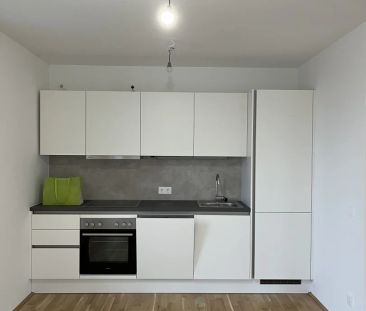 *NEUES PROJEKT* Urbanes Wohnen im Wildgarten! - Photo 3