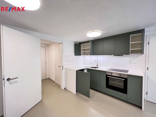 Pronájem bytu 2+kk v osobním vlastnictví 80 m², Brno - Fotografie 1