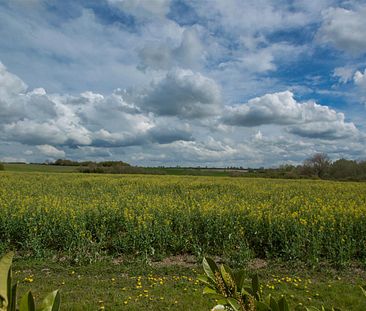 The Street, Great Wratting, Suffolk - Photo 4