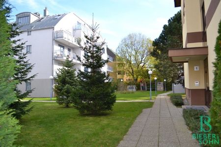 Charmante, sonnige Wohnung mit West-Balkon – Hietzinger Cottaglage - Photo 3