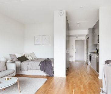 Rosenapelgatan, Göteborg - Photo 1