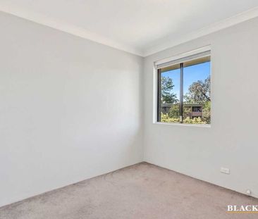 Neat, Freshly Painted 2-Bedroom Apartment Close to City & ANU - Photo 1