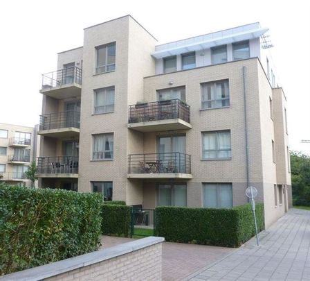 Magnifique Appartement 3 chambres avec Terrasse Sud-ouest! - Photo 1