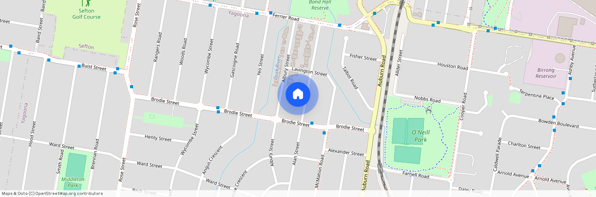 36 Alan Street, NSW 2199, Yagoona