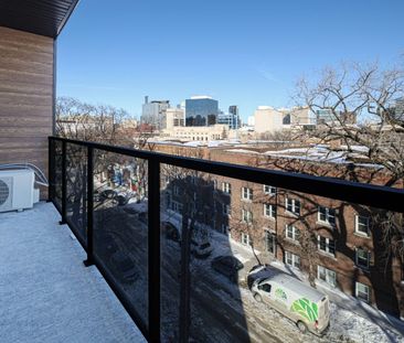 Virginia: Black Accents – 196 Colony, Winnipeg, MB - Photo 2