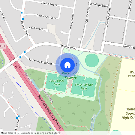 14 Redwood Place, Gateshead NSW 2290