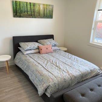 Bachelor suite close to VIU & Hospital - Photo 4