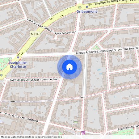 Avenue Louis Gribaumont 115, 1200, Woluwe-Saint-Lambert