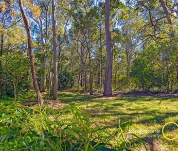 Renovated Family home backing onto peaceful bushlands! - Photo 4