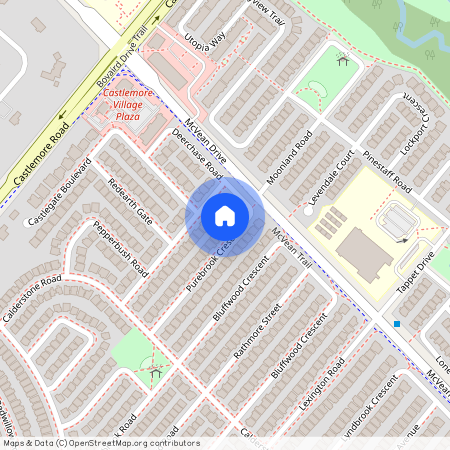 41 Purebrook Avenue, Brampton