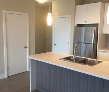 PARALLEL TWO APTS - 403 - P2-403 - Photo 6
