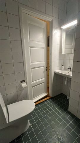 Styrmansgatan - Photo 5