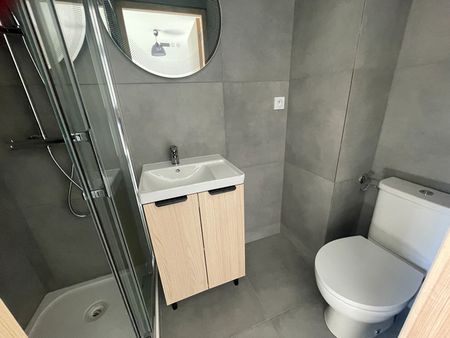 Location Appartement 1 pièce 17m² - Photo 3