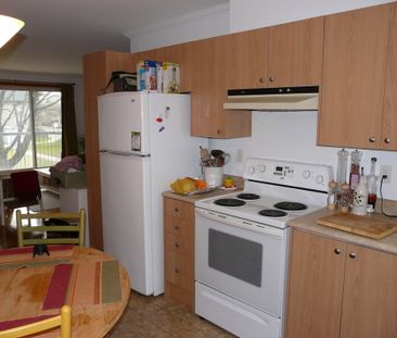 LIMOILOU,CALME, PIÈCE POUR BUREAU. - Photo 2