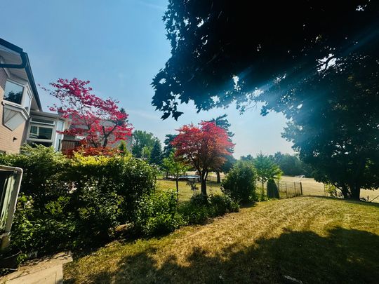 For Lease - 272 Essex (Work Out Basement) Avenue, Richmond Hill, Ontario - Photo 1